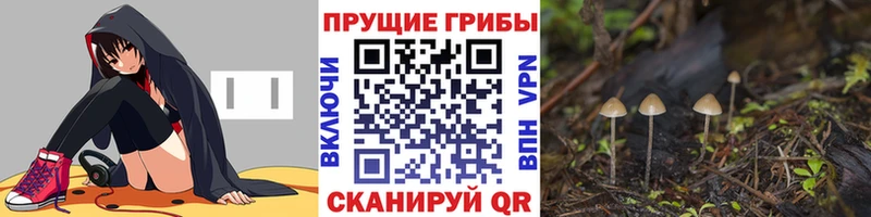 Галлюциногенные грибы Magic Shrooms  продажа наркотиков  Озёры 