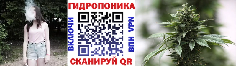 Конопля THC 21% Озёры